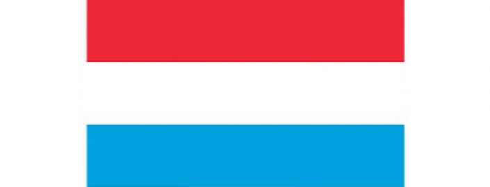 bandera lux web