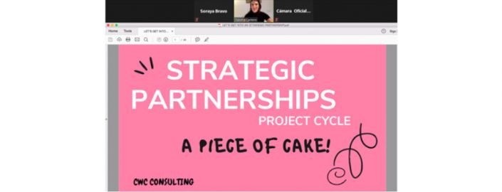 strategicPartnerships