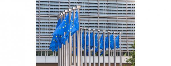 Ticket: 6-7/05 Online training on "Advocacy in the European Union: how to kickstart your campaign"