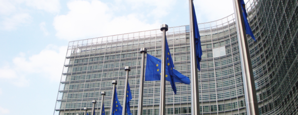 Ticket: 04-05/02 Formación online "El arte de ganar en Europa: licitaciones, subvenciones y proyectos financiados por la UE"