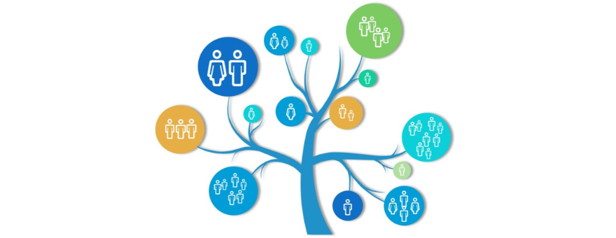 Para fotos horizontales