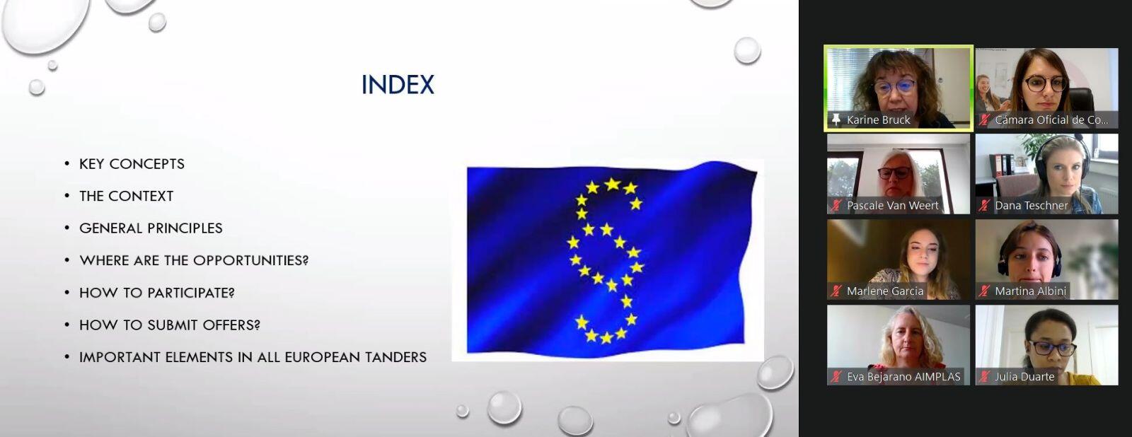 “Licitaciones y oportunidades europeas: hazlo como un experto”