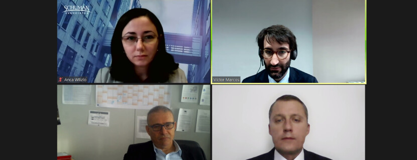 «Supporting the Next IPCEI European Champions in Solar Industry